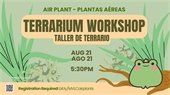Air Plant Terrarium Workshop