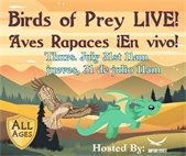 Birds of Prey LIVE