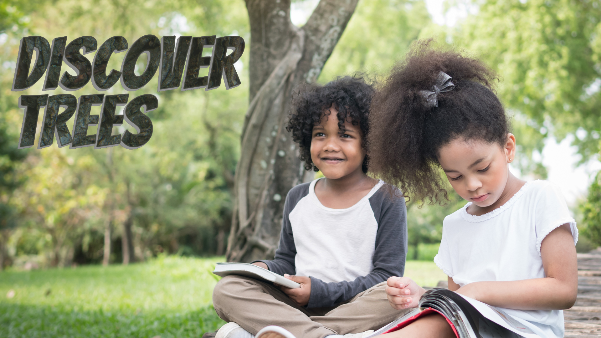 Summer discovery guide opens in a new window Opens in new window