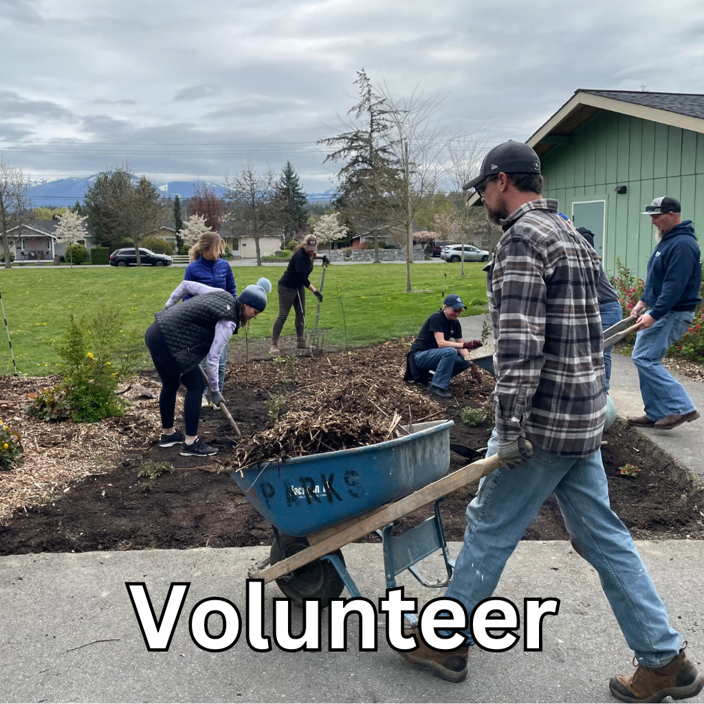 Volunteer, picture of people preforming volunteer work at Hillcrest Park