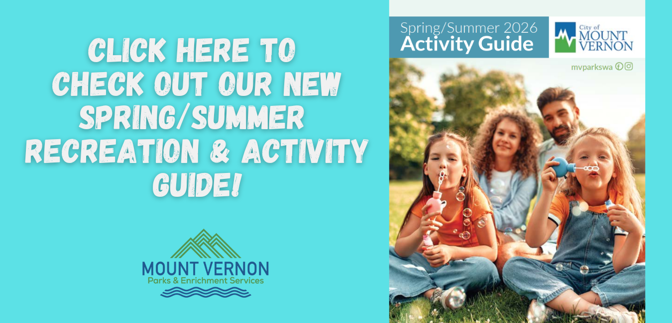 activity guide web banner