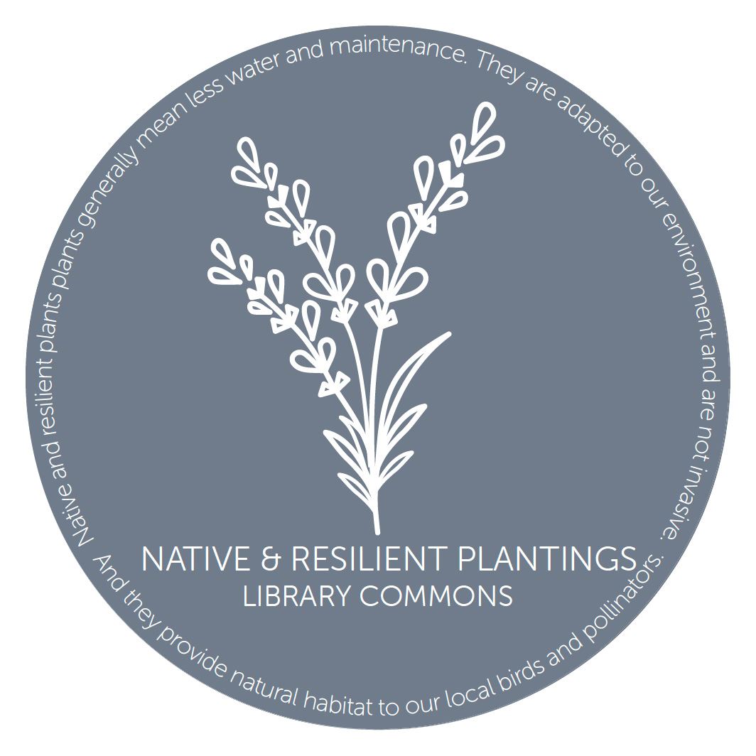 Native Plants